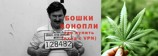 трава Мурманск
