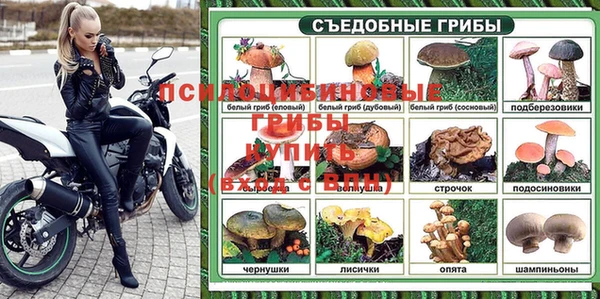 прущие крисы Кострома