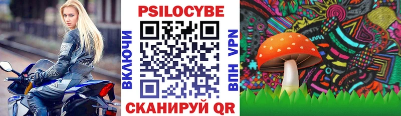 купить закладку  Новочеркасск  Псилоцибиновые грибы прущие грибы 